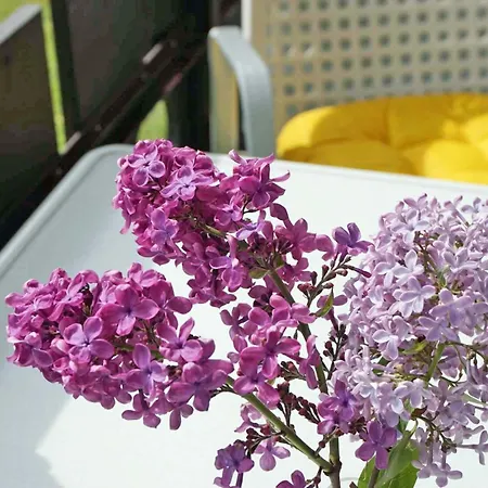 Haus 아파트 오베르마이셀스타인